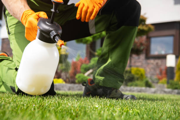 Wildlife Control Services in Orangeburg, SC