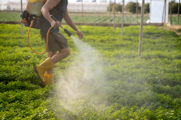 Best Best Pest Control Companies  in Orangeburg, SC