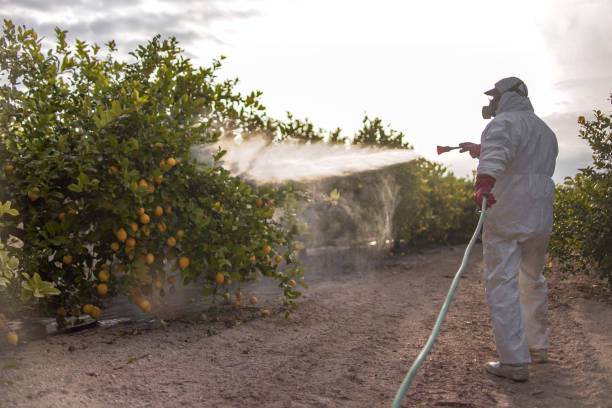 Best Commercial Pest Control Services  in Orangeburg, SC